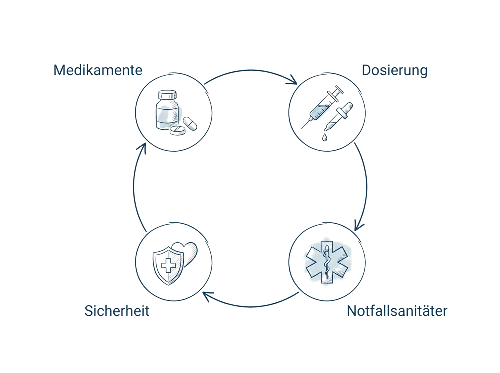 Schema zum Fachbeitrag Medikamentenmanagement für Notfallsanitäter: Sicherheit durch System: Medikamente, Dosierung, Notfallsanitäter, Sicherheit