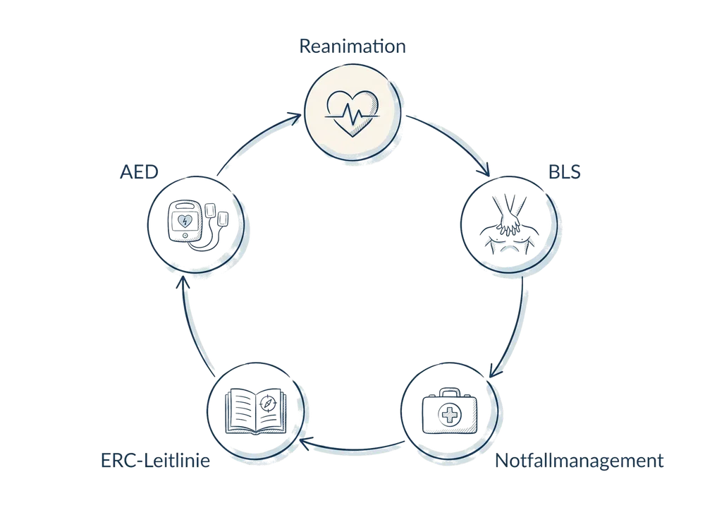 Schema zum Fachbeitrag Notfallmanagement in der Pflegeeinrichtung: Reanimation, Alarmkette, Dokumentation: Reanimation, BLS, Notfallmanagement, ERC-Leitlinie, AED