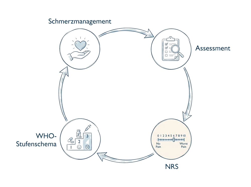 Schema zum Fachbeitrag Schmerzmanagement in der Pflege: Assessment und Interventionen: Schmerzmanagement, Assessment, NRS, WHO-Stufenschema